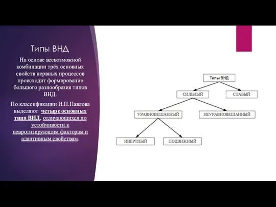 Типы ВНД На основе всевозможной комбинации трёх основных свойств нервных процессов происходит