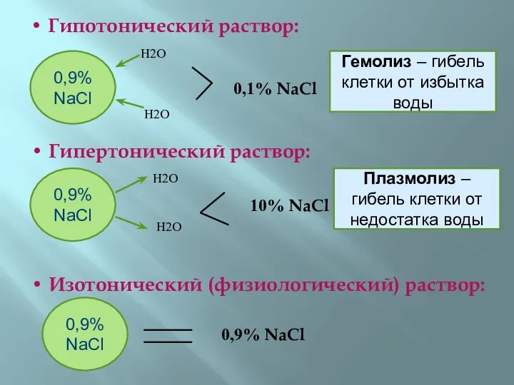 • Гипотонический раствор: 0,9% NaCl Н2О Н2О 0,1% NaCl Гемолиз – гибель