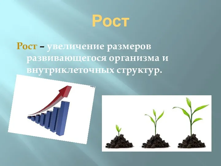 Рост Рост – увеличение размеров развивающегося организма и внутриклеточных структур.