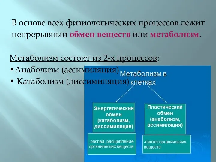 В основе всех физиологических процессов лежит непрерывный обмен веществ или метаболизм. Метаболизм