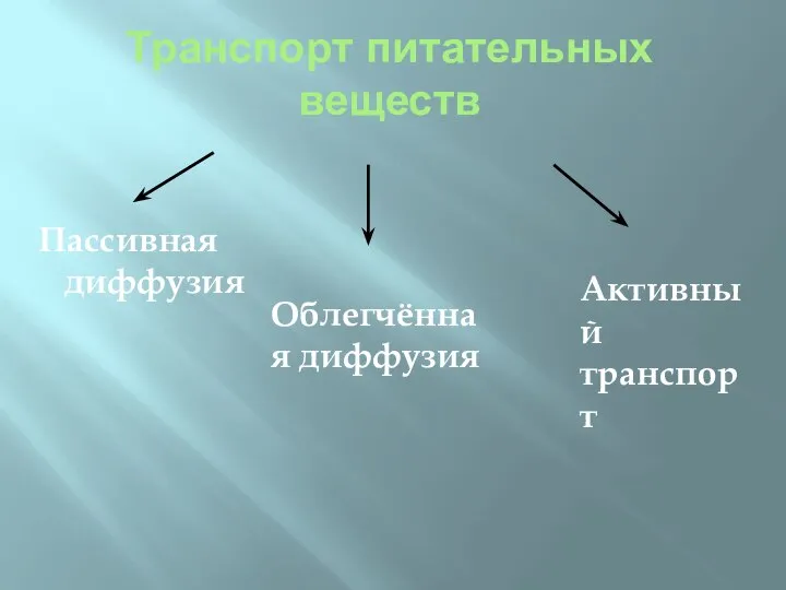 Транспорт питательных веществ Пассивная диффузия Облегчённая диффузия Активный транспорт