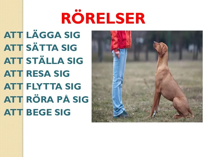 RÖRELSER ATT LÄGGA SIG ATT SÄTTA SIG ATT STÄLLA SIG ATT RESA