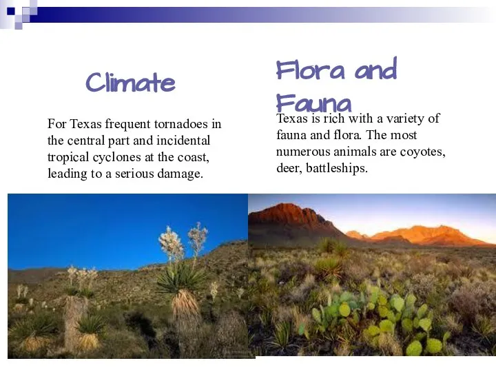 Climate For Texas frequent tornadoes in the central part and incidental tropical