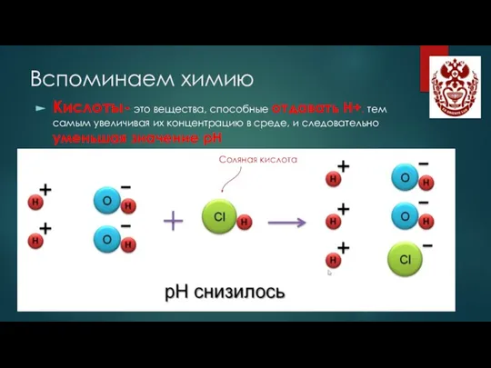 Вспоминаем химию Кислоты- это вещества, способные отдавать Н+, тем самым увеличивая их