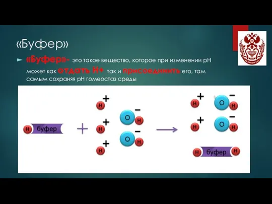 «Буфер» «Буфер»- это такое вещество, которое при изменении рН может как отдать