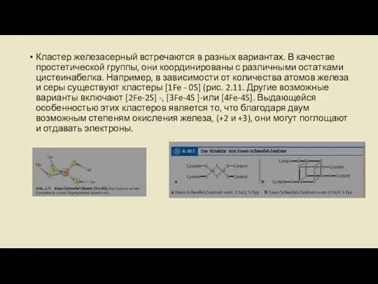 Кластер железасерный встречаются в разных вариантах. В качестве простетической группы, они координированы