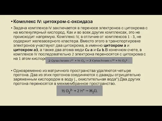 Комплекс IV: цитохром-с-оксидаза Задача комплекса IV заключается в переносе электронов с цитохрома