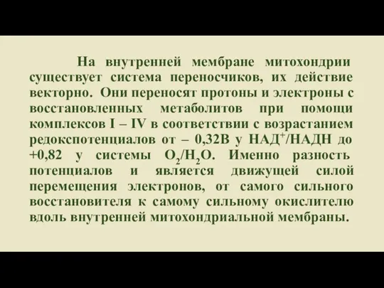 На внутренней мембране митохондрии существует система переносчиков, их действие векторно. Они переносят