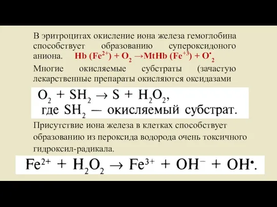 В эритроцитах окисление иона железа гемоглобина способствует образованию супероксидоного аниона. Hb (Fe2+)