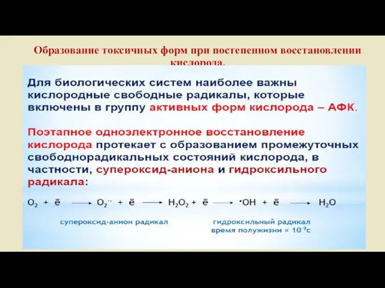 Образование токсичных форм при постепенном восстановлении кислорода.