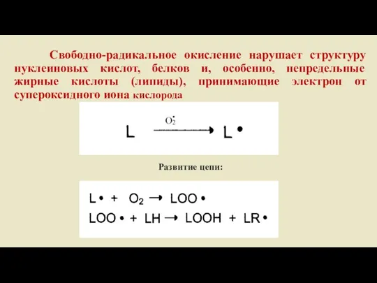 Свободно-радикальное окисление нарушает структуру нуклеиновых кислот, белков и, особенно, непредельные жирные кислоты