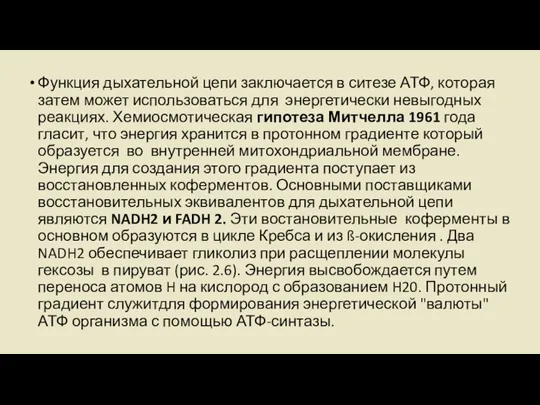 Функция дыхательной цепи заключается в ситезе АТФ, которая затем может использоваться для