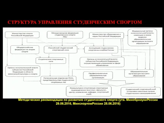 СТРУКТУРА УПРАВЛЕНИЯ СТУДЕНЧЕСКИМ СПОРТОМ Методические рекомендации по развитию студенческого спорта (утв. МинобрнаукиРоссии 29.06.2016, МинспортомРоссии 28.06.2016)