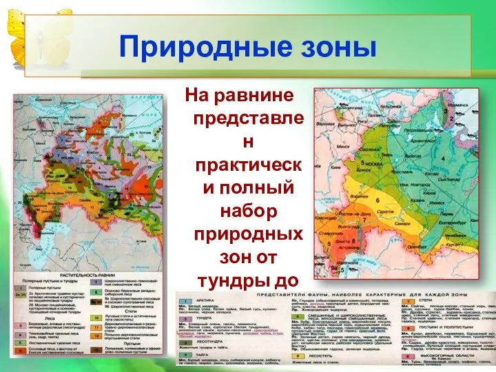 Природные зоны На равнине представлен практически полный набор природных зон от тундры до полупустынь.