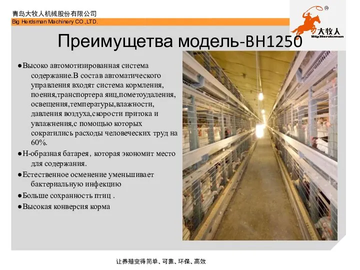 Преимущетва модель-BH1250 ●Высоко автомотизированная система содержание.В состав автоматического управления входят система кормления,поения,транспортера