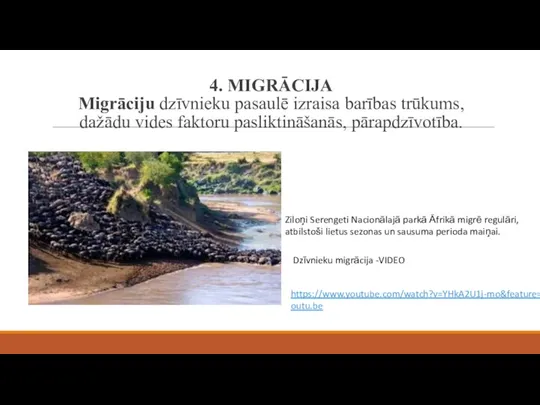 4. MIGRĀCIJA Migrāciju dzīvnieku pasaulē izraisa barības trūkums, dažādu vides faktoru pasliktināšanās,