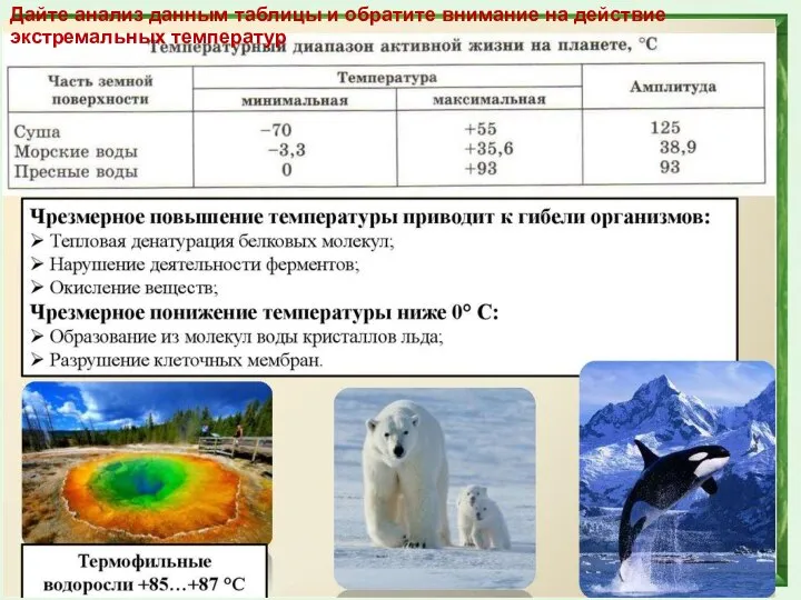 29.3.17 Дайте анализ данным таблицы и обратите внимание на действие экстремальных температур