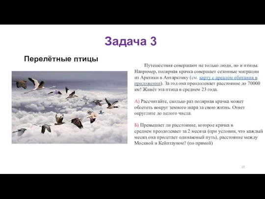 Перелётные птицы Путешествия совершают не только люди, но и птицы. Например, полярная