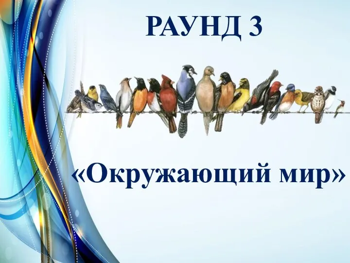 РАУНД 3 «Окружающий мир»