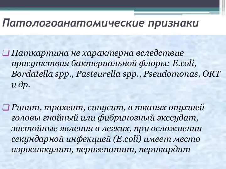 Патологоанатомические признаки Паткартина не характерна вследствие присутствия бактериальной флоры: E.coli, Bordatella spp.,