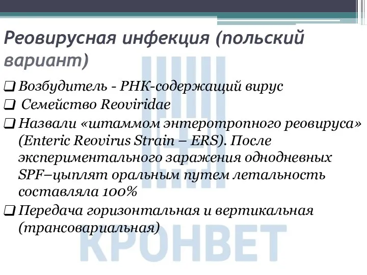 Реовирусная инфекция (польский вариант) Возбудитель - РНК-содержащий вирус Семейство Reoviridae Назвали «штаммом