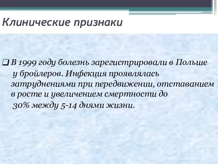 Клинические признаки В 1999 году болезнь зарегистрировали в Польше у бройлеров. Инфекция