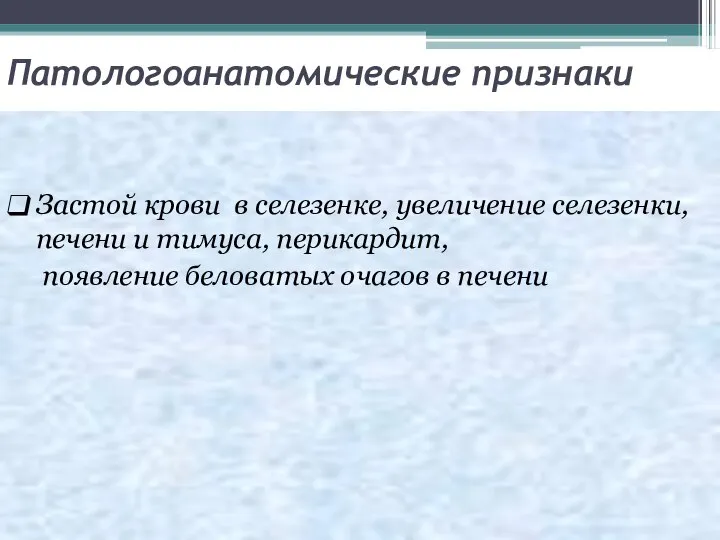 Патологоанатомические признаки Застой крови в селезенке, увеличение селезенки, печени и тимуса, перикардит,