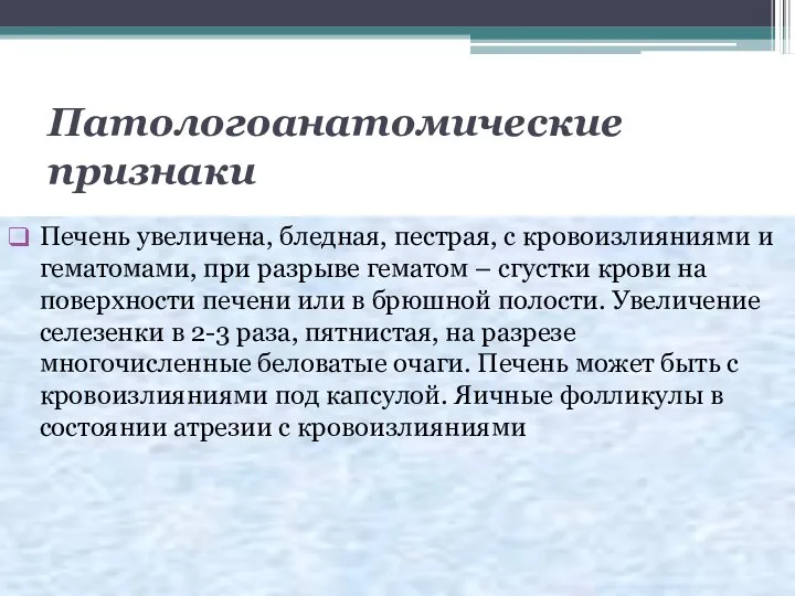 Патологоанатомические признаки Печень увеличена, бледная, пестрая, с кровоизлияниями и гематомами, при разрыве