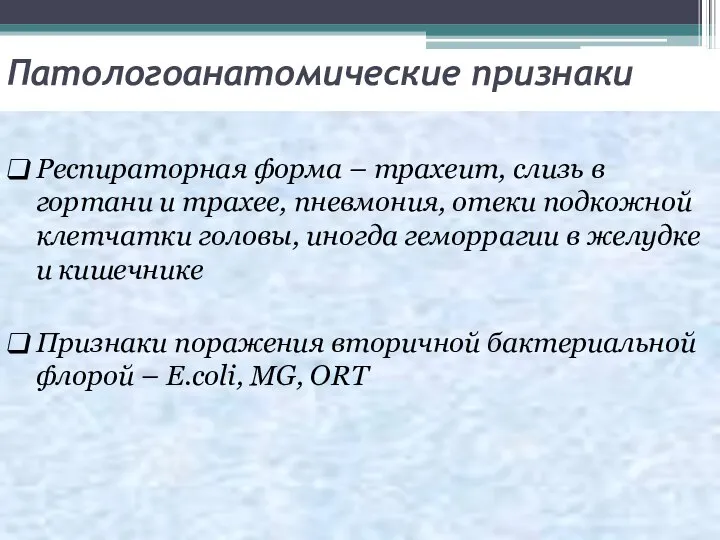 Патологоанатомические признаки Респираторная форма – трахеит, слизь в гортани и трахее, пневмония,