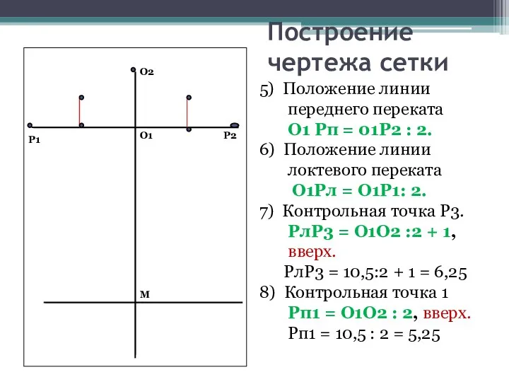 Построение чертежа сетки О1 О2 М Р1 Р2 5) Положение линии переднего