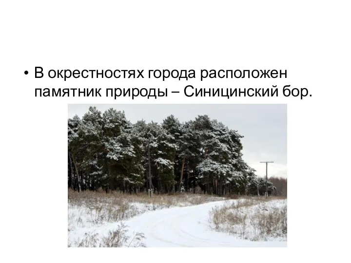 В окрестностях города расположен памятник природы – Синицинский бор.