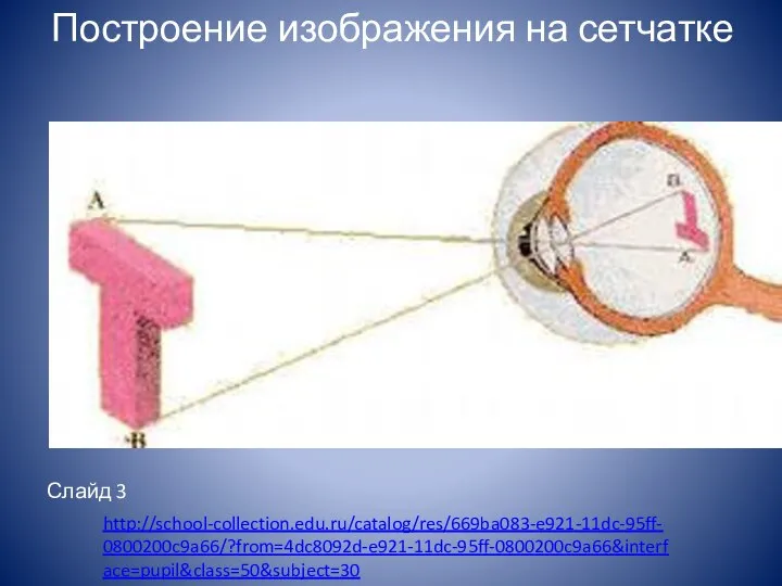 Слайд 3 Построение изображения на сетчатке http://school-collection.edu.ru/catalog/res/669ba083-e921-11dc-95ff-0800200c9a66/?from=4dc8092d-e921-11dc-95ff-0800200c9a66&interface=pupil&class=50&subject=30