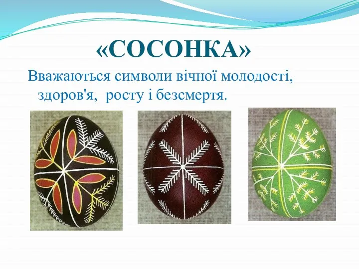 «СОСОНКА» Вважаються символи вічної молодості, здоров'я, росту і безсмертя.