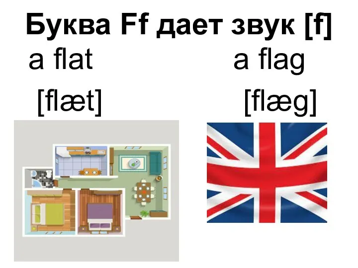 Буква Ff дает звук [f] a flat a flag [flæt] [flæg]