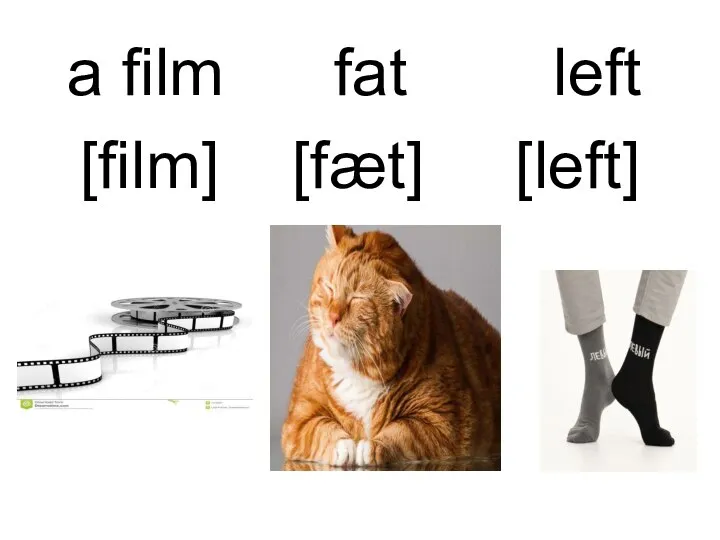 a film fat left [film] [fæt] [left]