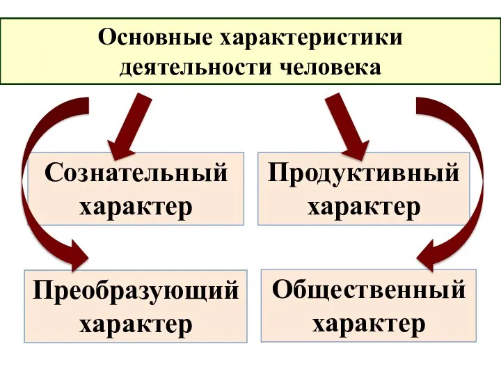 Основные характеристики деятельности человека Сознательный характер Продуктивный характер Преобразующий характер Общественный характер