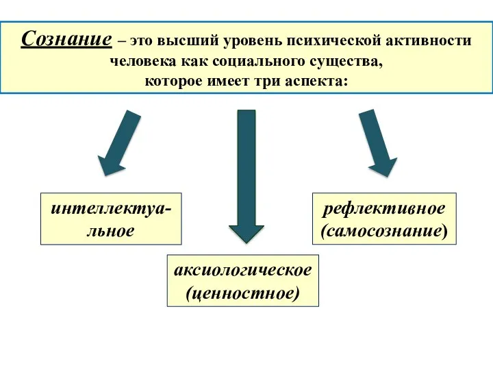 Сознание – это высший уровень психической активности человека как социального существа, которое