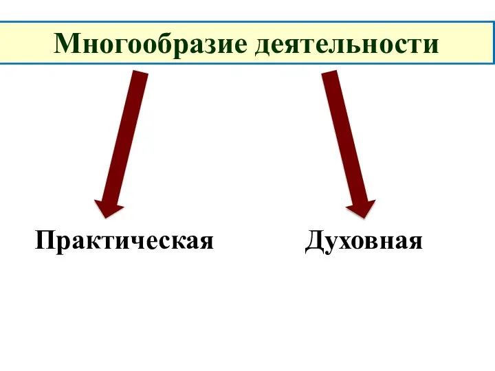 Многообразие деятельности Духовная Многообразие деятельности Практическая