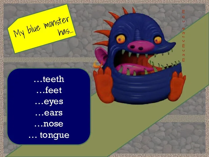 My blue monster has… …teeth …feet …eyes …ears …nose … tongue