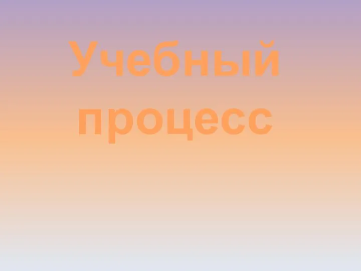 Учебный процесс