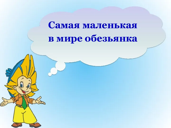 Самая маленькая в мире обезьянка