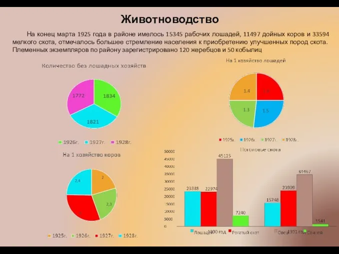 Животноводство На конец марта 1925 года в районе имелось 15345 рабочих лошадей,