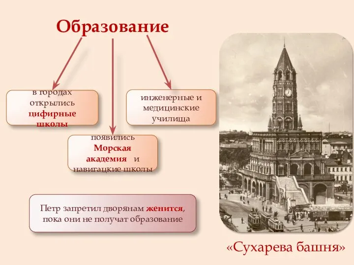 Образование появились Морская академия и навигацкие школы в городах открылись цифирные школы