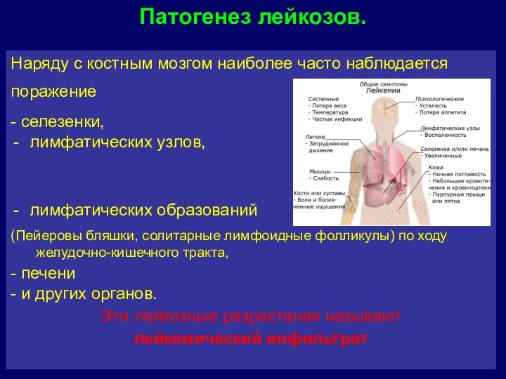 Наряду с костным мозгом наиболее часто наблюдается поражение - селезенки, лимфатических узлов,