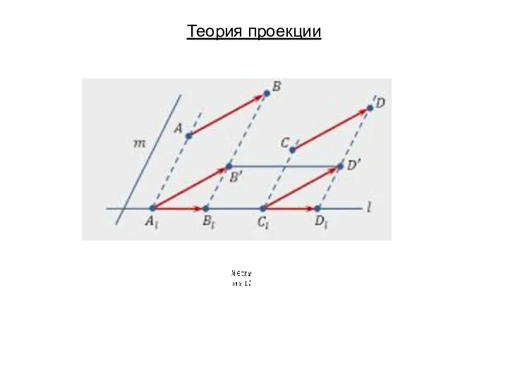 Теория проекции