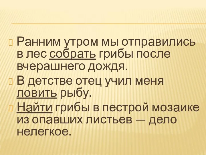 Ранним утром мы отправились в лес собрать грибы после вчерашнего дождя. В