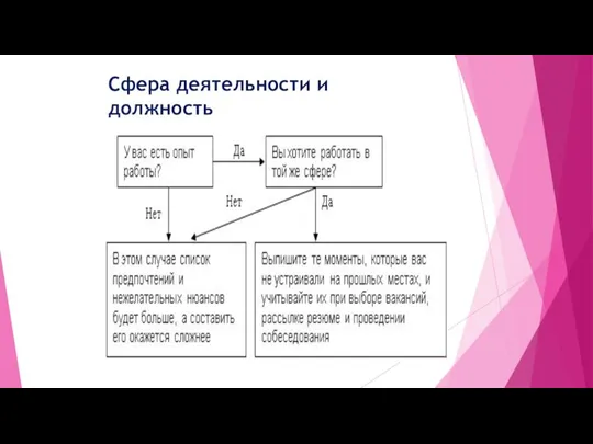 Сфера деятельности и должность