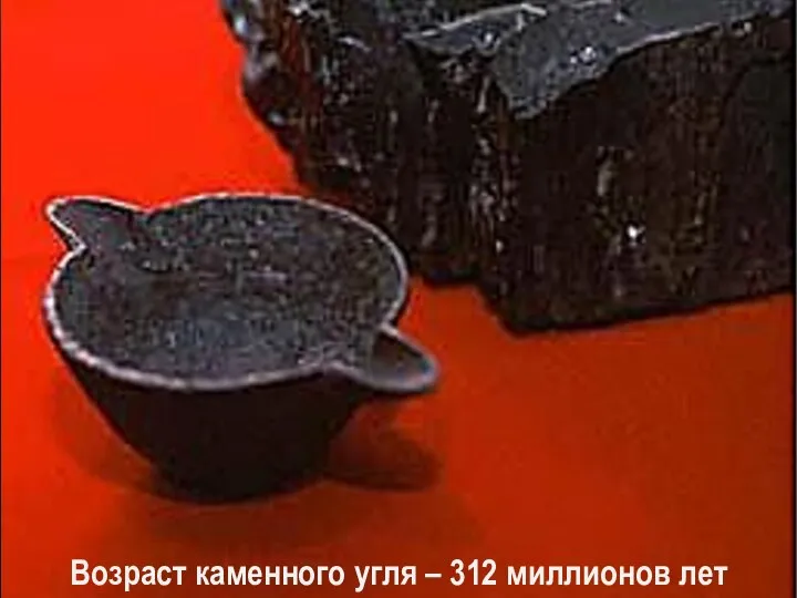 Возраст каменного угля – 312 миллионов лет