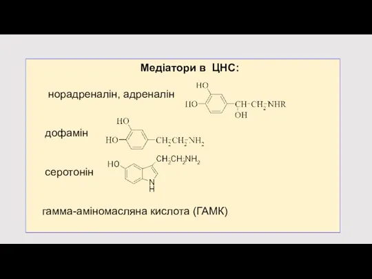 Медіатори в ЦНС: норадреналін, адреналін дофамін серотонін гамма-аміномасляна кислота (ГАМК)