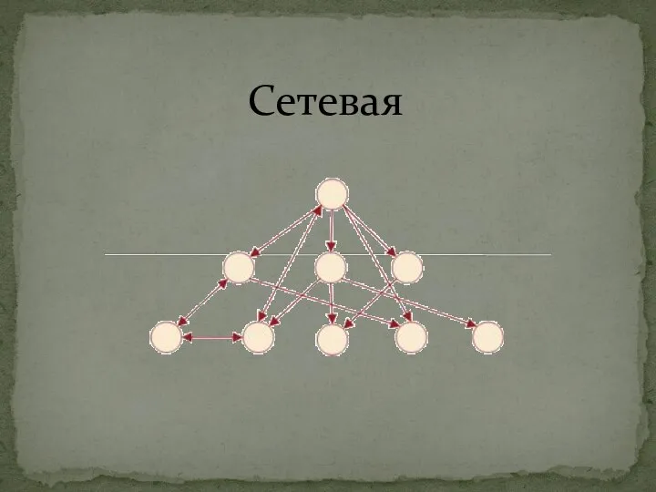 Сетевая